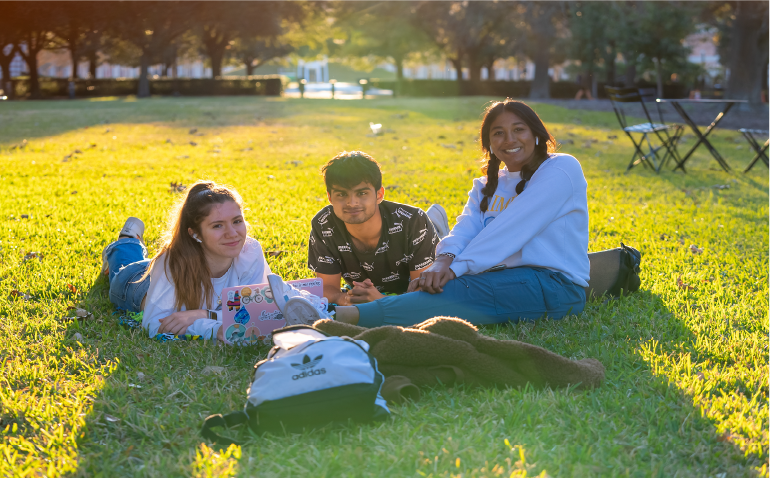Students studying outside